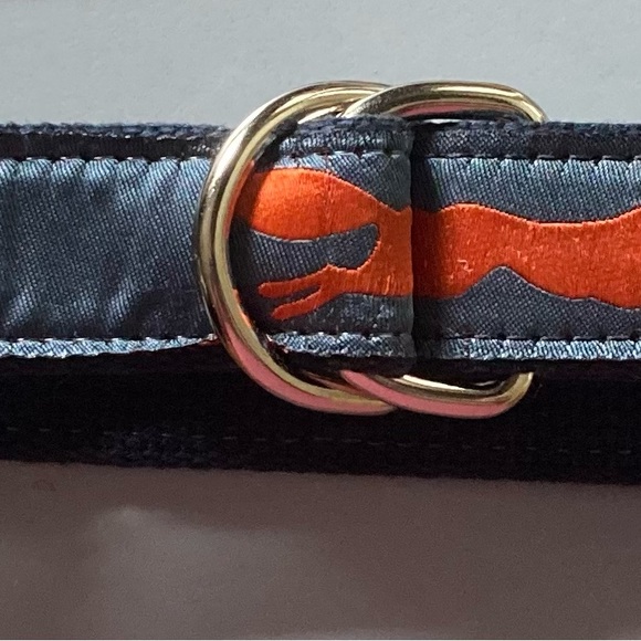 Belted Cow Feeling Foxy Ribbon D-Ring Belt size Small - Picture 4 of 5